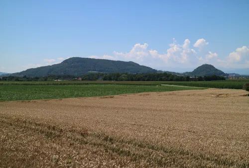 Buchkogel u Wildonu