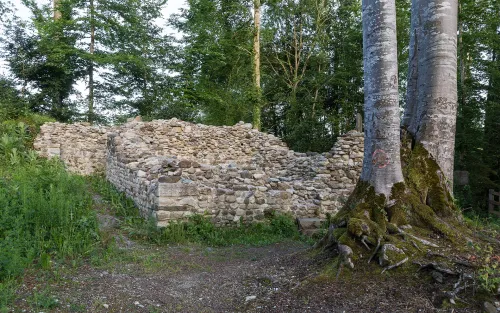 Zřícenina hradu Altenburg