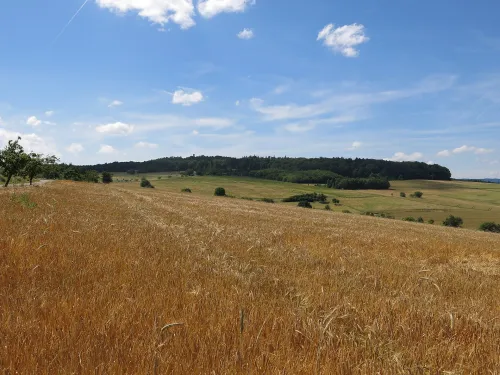 Rozhledna Spitzenstein