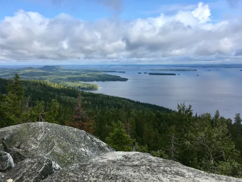 Vrch Koli