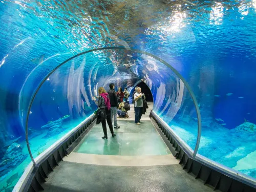 Afrykarium ve Vratislavi