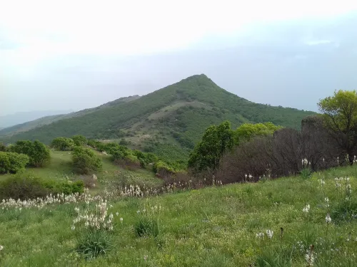 Archeologická lokalita Vysoka