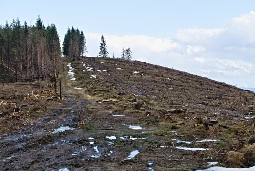 Kleiný Winterberg