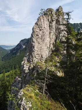 Zbojnická jehla