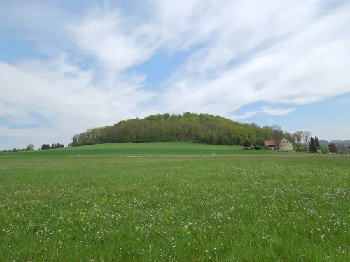 Hutberg u Großschönau