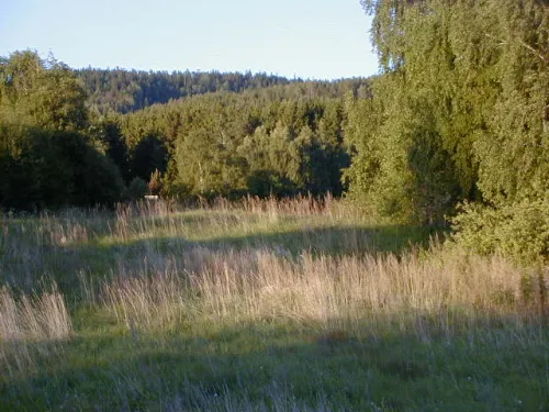 Nález z Gjermundbu