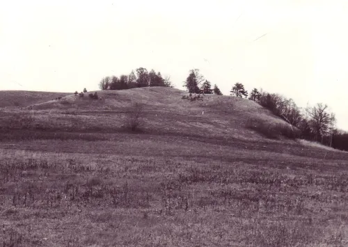 Burgwall Sauserių piliakalnis