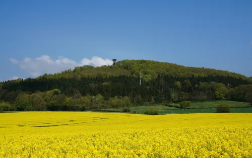 Hora Hungerberg