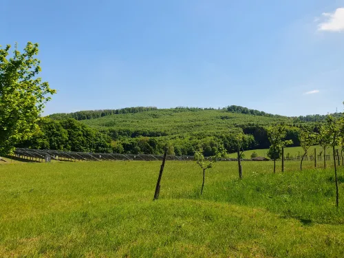 Bielený vrch