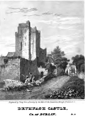 Château de Drimnagh