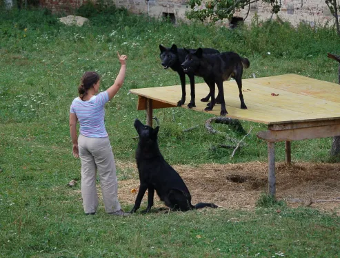 Wildpark Ernstbrunn