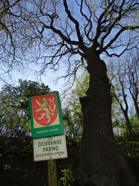 Pardědub