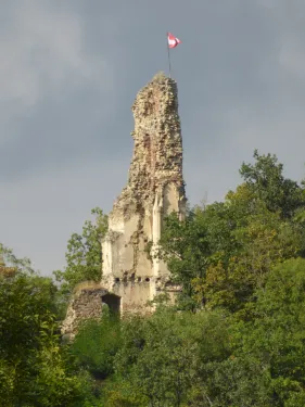 Zřícenina hradu Falkenberg