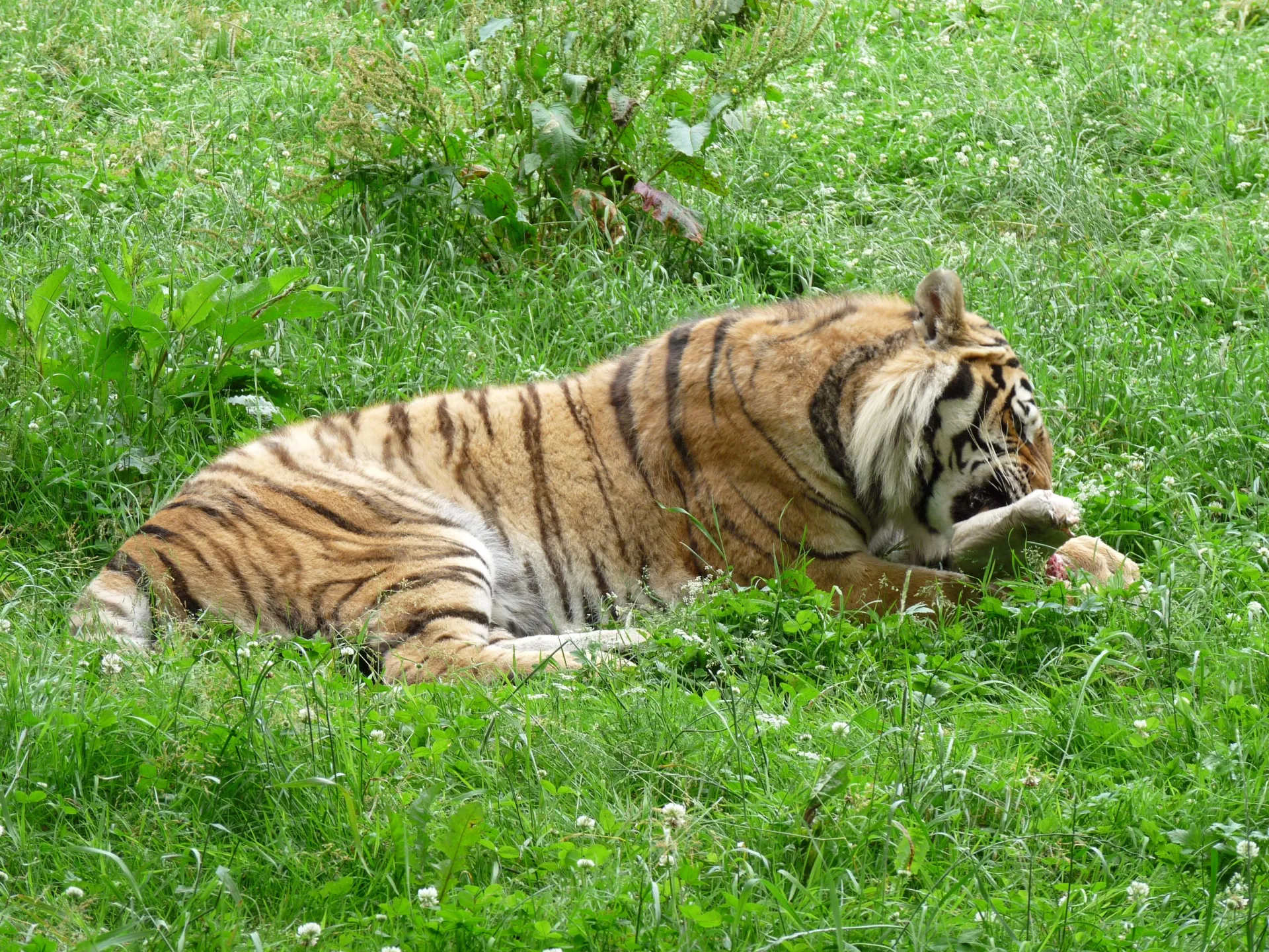 Zoologická zahrada Tábor