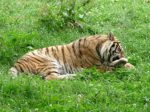 Zoologická zahrada Tábor