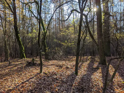 Tvrziště Slavětice
