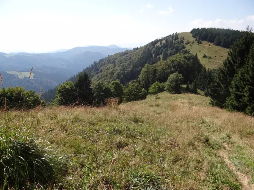 Motyčianská hoľa
