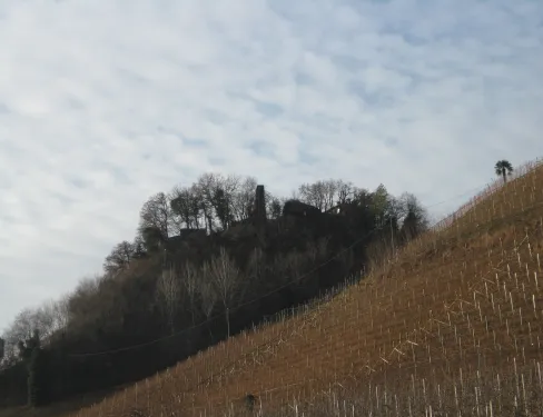 Burgruine Altenburg