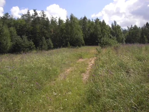 Būdakalnis