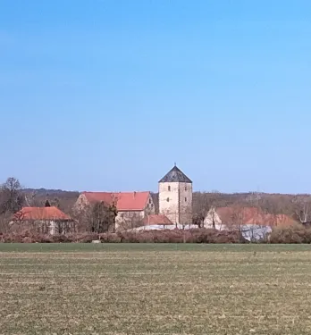Hrad Steuerwald