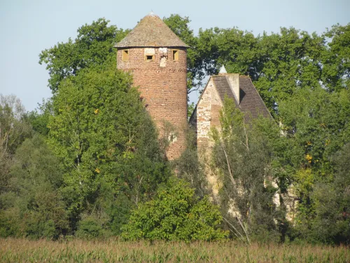 Hrad Arginy