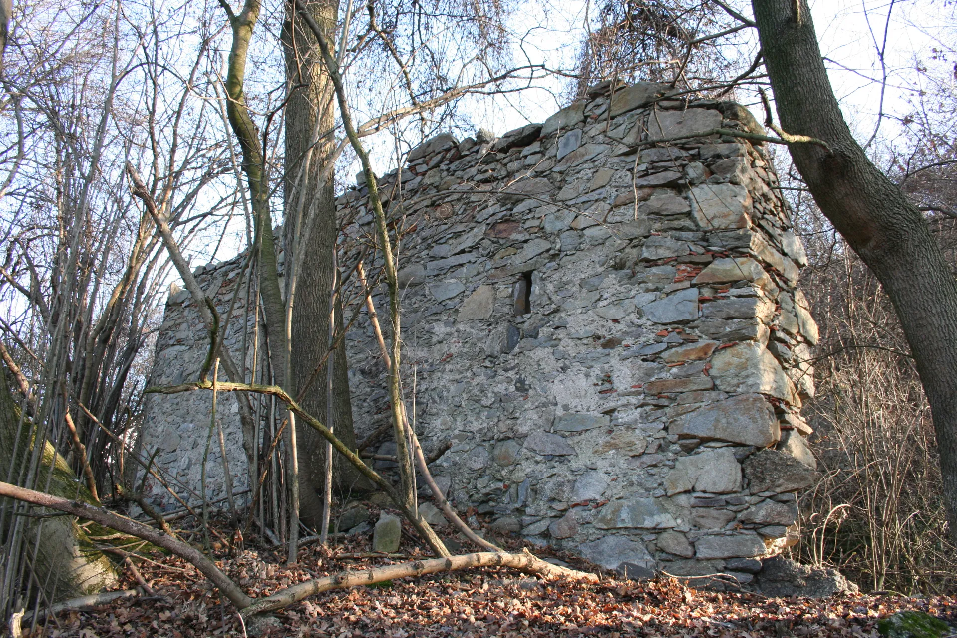 Zřícenina hradu Luftenberg