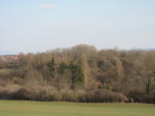Hradiště Cimburk