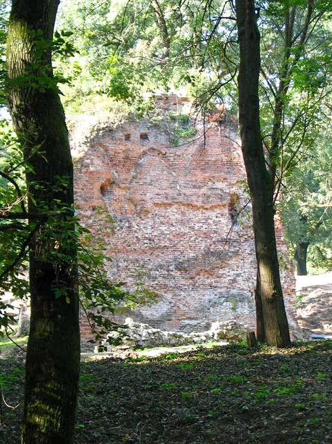 Zřícenina vodního hradu Parič