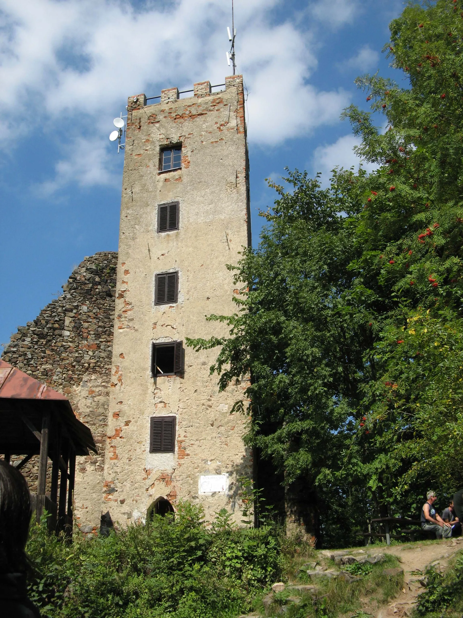 Zřícenina hradu Rýzmberk