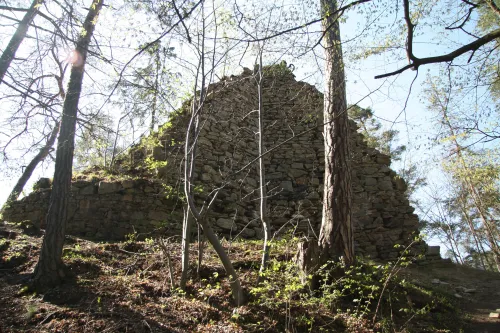 Zřícenina hradu Holoubek