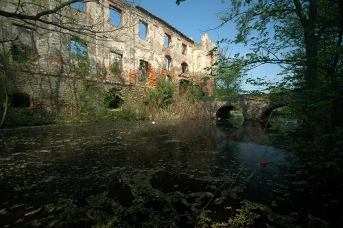 Ruina del castillo de Pankow