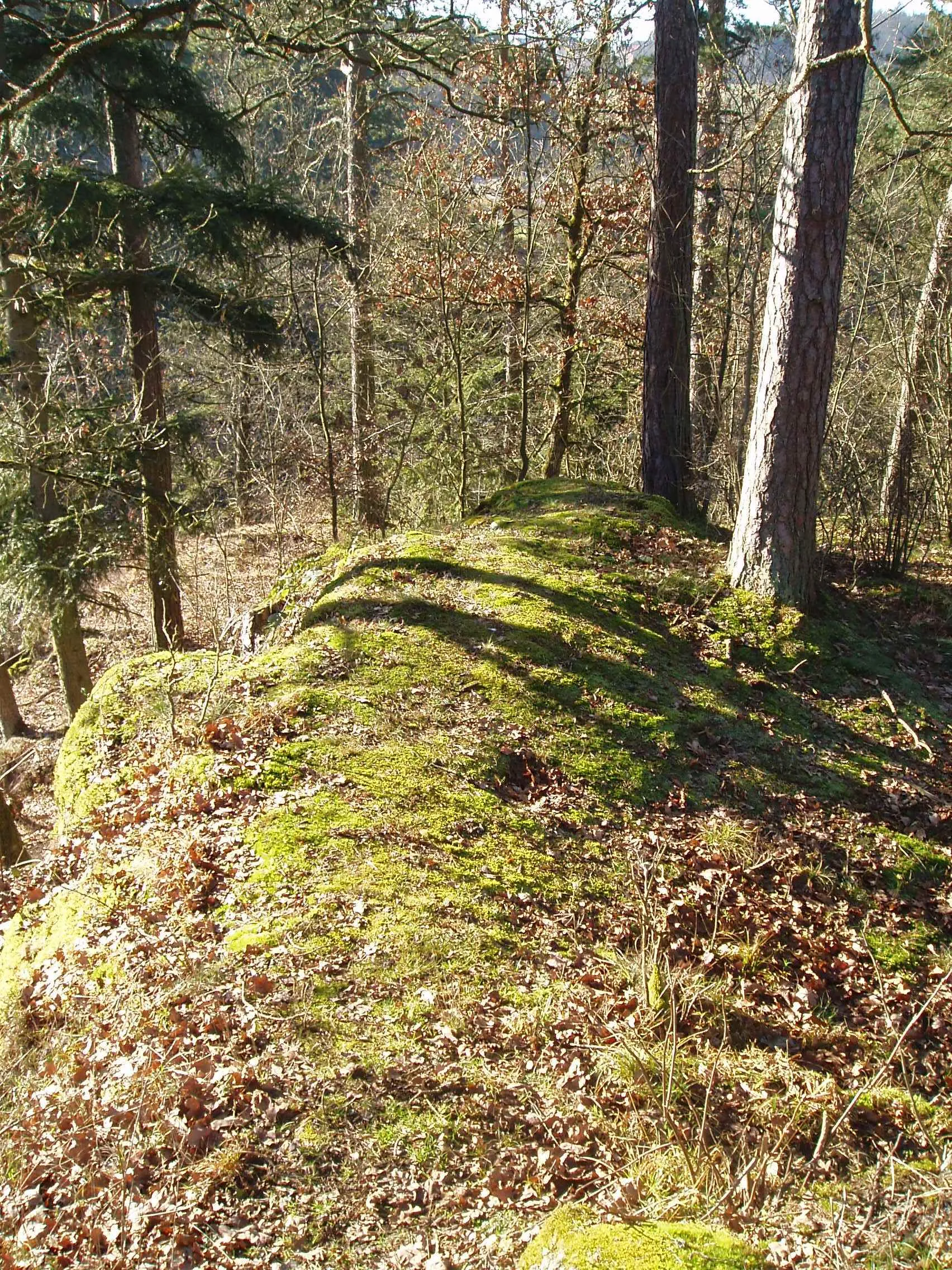 Zřícenina hradu Neuaist