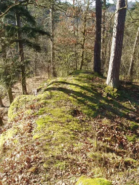 Zřícenina hradu Neuaist