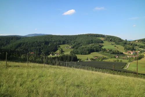 Vrch Lineckberg
