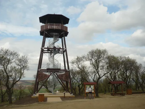 Rozhledna Hustopeče