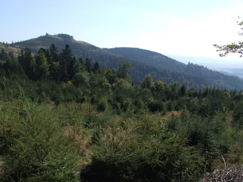 Vrch Špičiak