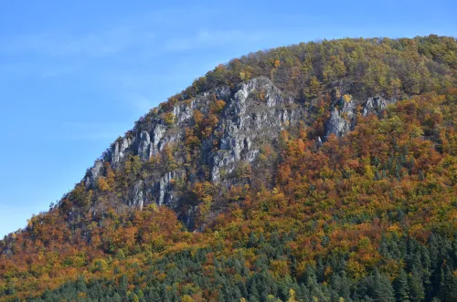 Vrch Holica