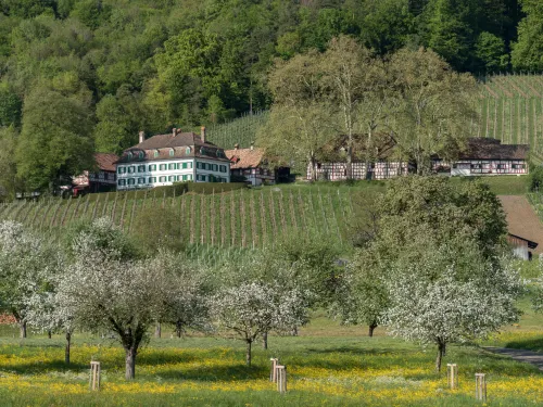 Bachtobel Castle