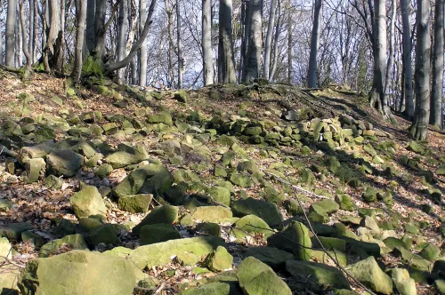 Zřícenina hradu Starý Světlov