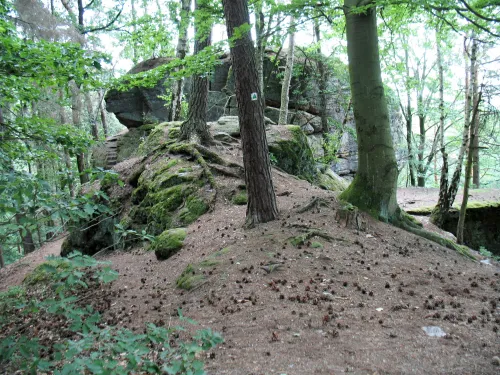 Hrad u Konrádova