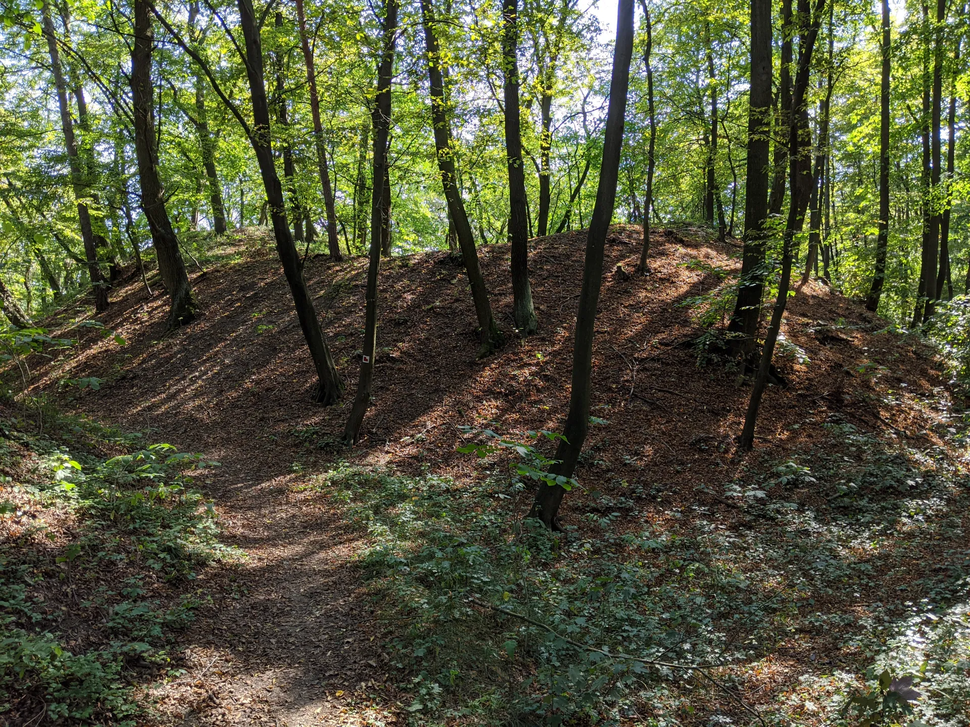 Tvrz Jevín