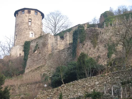 Burgruine Condrieu