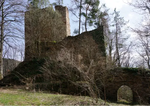 Zřícenina hradu Hartneidstein
