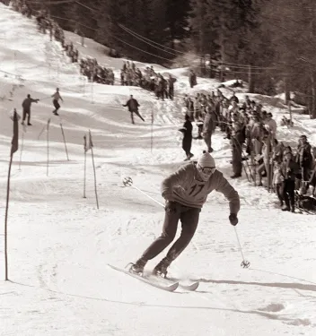 Pohár Vitranc