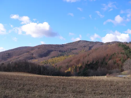 Vrchol Roháčka