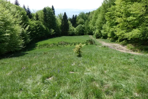 Sommet de Przysłop