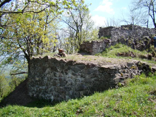 Castillo de Rogowiec
