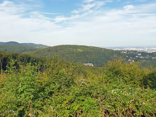 Hora Schafberg