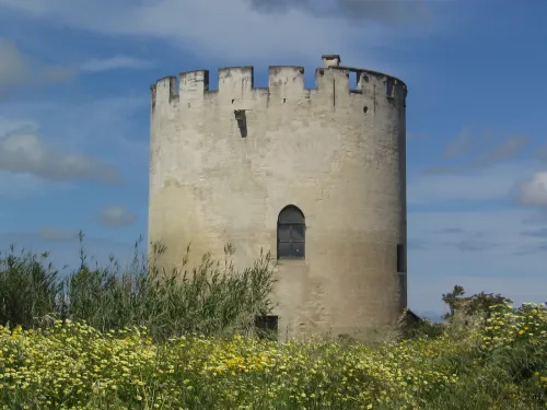 Belloluogská věž