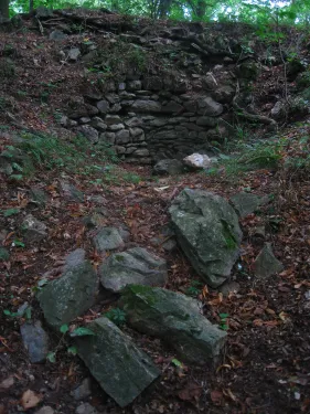 Zřícenina hradu Bukovina
